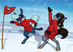 Size: 1199x865 | Tagged: safe, artist:enma-darei, oc, oc only, oc:cold snap, oc:mortimer hooves, anthro, clothes, demolition bird squad, duo, female, flag, goggles, jacket, male, snow