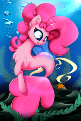 Size: 4200x6300 | Tagged: safe, artist:madacon, pinkie pie, seapony (g4), starfish, g4, my little pony: the movie, absurd resolution, chest fluff, cute, diapinkes, ear fluff, female, looking down, missing cutie mark, open mouth, seaponified, seapony pinkie pie, smiling, solo, species swap, underwater
