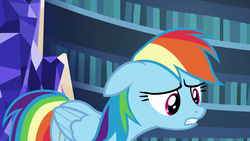 Size: 1920x1080 | Tagged: safe, screencap, rainbow dash, g4, secrets and pies, female, solo, twilight's castle