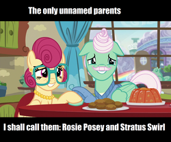 Size: 1279x1065 | Tagged: safe, screencap, gentle breeze, posey shy, pegasus, pony, g4, headcanon, names, naming