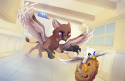 Size: 2000x1294 | Tagged: safe, artist:viwrastupr, oc, oc only, oc:der, oc:kali, griffon, chase, cookie, cookie jar, food, kitchen, micro, size difference, that griffon sure "der"s love cookies