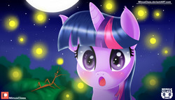 Size: 2800x1600 | Tagged: safe, artist:minusclass, twilight sparkle, firefly (insect), pony, g4, :o, female, mare, moon, night, open mouth, patreon, patreon logo, solo, stars