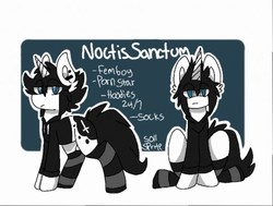 Size: 512x387 | Tagged: source needed, safe, artist:soll sprite, oc, oc only, oc:noctissanctum, pony, unicorn, clothes, cutie mark, ear piercing, femboy, hoodie, looking at you, male, piercing, reference sheet, sitting, socks, solo, striped socks