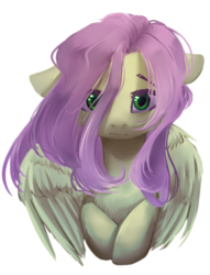 Size: 2220x2912 | Tagged: safe, artist:mp-printer, fluttershy, pegasus, pony, g4, bust, female, floppy ears, high res, looking at you, mare, portrait, simple background, solo, transparent background