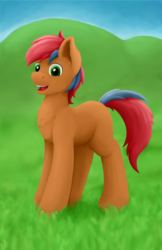 Size: 900x1388 | Tagged: safe, artist:redquoz, oc, oc only, oc:redpone, earth pony, pony, blank flank, chest fluff, field, grass, grass field, happy, male, one layer, outdoors, paintstorm, paintstorm studio, smiling, solo