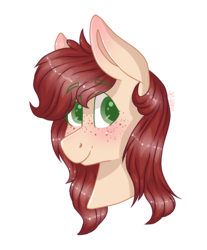 Size: 993x1200 | Tagged: safe, artist:person8149, oc, oc only, pony, bust, male, portrait, simple background, solo, stallion, transparent background