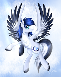 Size: 1600x2000 | Tagged: safe, artist:puggie, oc, oc only, pegasus, pony, cloud, commission, flying, solo, spread wings, wings
