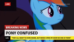 Size: 640x360 | Tagged: safe, edit, edited screencap, screencap, rainbow dash, pegasus, pony, g4, break your own news, breaking news, confused, cute, dashabetes, female, frown, innocent, iwtcird, live, mare, meme, naive, quote, solo