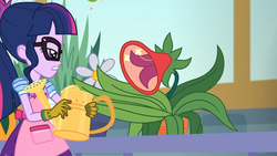 Size: 1920x1080 | Tagged: safe, screencap, sci-twi, twilight sparkle, equestria girls, g4, my little pony equestria girls: better together, my little shop of horrors, clothes, flower, glasses, gloves, plant, potted plant, watering can