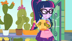 Size: 1920x1080 | Tagged: safe, screencap, sci-twi, twilight sparkle, equestria girls, g4, my little pony equestria girls: better together, my little shop of horrors, cactus, flower, plant, potted plant, watering can