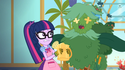 Size: 1920x1080 | Tagged: safe, screencap, sci-twi, twilight sparkle, equestria girls, g4, my little pony equestria girls: better together, my little shop of horrors, apron, celestia's house, clothes, flower, glasses, gloves, plant, room to grow, watering can