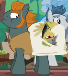 Size: 389x430 | Tagged: safe, screencap, daring do, rogue (g4), spotlight show, earth pony, pony, g4, stranger than fan fiction, bedroom eyes, body pillow, cropped, daring daki, henchmen, male, pillow, poker face, sideburns, stallion, you know for kids