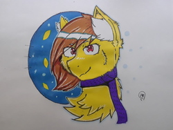 Size: 2576x1932 | Tagged: safe, artist:owlgineer, oc, oc only, oc:lemon, pony, bust, clothes, male, portrait, scarf, solo, stallion, traditional art