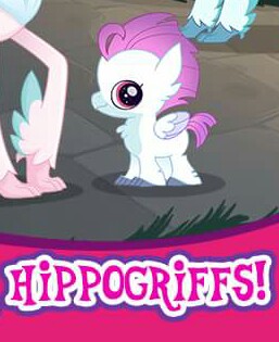 My little sales pony baby hippogriff