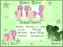 Size: 1600x1200 | Tagged: safe, oc, oc only, oc:gusty glitz, pegasus, pony, reference sheet