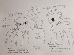 Size: 3239x2404 | Tagged: safe, artist:lucky dragon, oc, oc only, oc:dark water, bat pony, dracony, dragon, hybrid, gills, high res, jewelry, male, necklace, potion, reference sheet, spikes, stallion, stats, traditional art, transformation