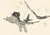 Size: 1616x1138 | Tagged: safe, artist:lunebat, original species, plane pony, pony, female, mare, monochrome, plane, ponified, running away, scared, sketch, su-25 frogfoot