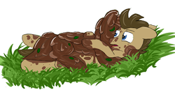 Size: 4000x2271 | Tagged: safe, artist:pzkratzer, derpy hooves, doctor whooves, time turner, earth pony, pegasus, pony, g4, covered, covered in mud, dirt, dirty, duo, female, grass, hug, implied shipping, male, mud, mud bath, muddy, on back, outdoors, ship:doctorderpy, shipping, straight, wet and messy