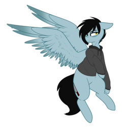 Size: 1489x1500 | Tagged: safe, artist:despotshy, oc, oc only, oc:tyler, pegasus, pony, clothes, hoodie, male, simple background, solo, stallion, transparent background