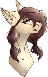 Size: 2121x3385 | Tagged: safe, artist:lastaimin, oc, oc only, oc:vanilla, earth pony, pony, bust, female, high res, mare, portrait, simple background, solo, transparent background
