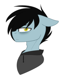 Size: 1028x1290 | Tagged: safe, artist:despotshy, oc, oc only, oc:tyler, pony, bust, clothes, hoodie, male, portrait, simple background, solo, stallion, transparent background