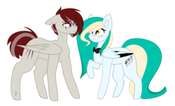 Size: 2320x1409 | Tagged: safe, artist:despotshy, oc, oc only, oc:scratched feather, oc:sea melody, pegasus, pony, bowtie, female, male, mare, raised hoof, scar, simple background, stallion, torn ear, transparent background