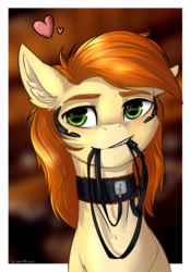 Size: 1782x2550 | Tagged: safe, artist:vincher, oc, oc only, oc:rave muller, pegasus, pony, collar, floating heart, heart, heart eyes, leash, male, mouth hold, pet play, solo, wingding eyes