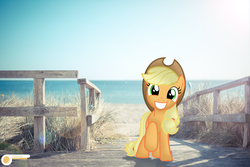 Size: 2048x1365 | Tagged: safe, artist:potato22, applejack, earth pony, pony, g4, backlighting, beach, irl, photo, ponies in real life, smiling, solo, standing