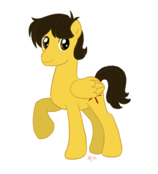 Size: 2334x2576 | Tagged: safe, oc, oc only, oc:autumn rosewood, pegasus, pony, 2018 community collab, derpibooru community collaboration, high res, male, simple background, solo, transparent background