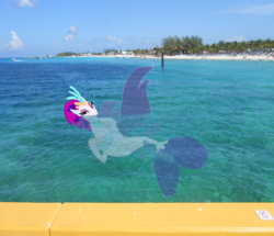 Size: 2161x1855 | Tagged: safe, artist:oceanrailroader, queen novo, seapony (g4), g4, my little pony: the movie, beach, irl, ocean, photo, ponies in real life