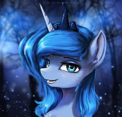 Size: 2497x2400 | Tagged: safe, artist:aidelank, princess luna, alicorn, pony, g4, bust, female, high res, looking at you, mare, portrait, smiling, snow, solo, winter