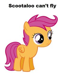 Size: 517x597 | Tagged: safe, scootaloo, pegasus, pony, g4, captain obvious, fact, female, filly, image macro, meme, scootaloo can't fly, simple background, solo, white background