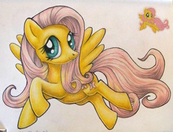 Size: 1054x800 | Tagged: safe, artist:andpie, fluttershy, pony, g4, female, mare, solo, traditional art