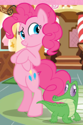 Size: 515x776 | Tagged: safe, gummy, pinkie pie, alligator, earth pony, pony, g4, official, bipedal, cropped, crossed hooves, female, mare, standing, standing up, sugarcube corner, vector