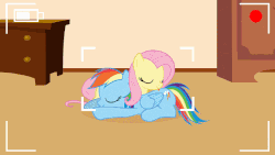Size: 613x346 | Tagged: safe, artist:forgalorga, applejack, fluttershy, rainbow dash, pony, your little cat, g4, animated, behaving like a cat, camera shot, cute, dashabetes, eyes closed, female, gif, grooming, hnnng, jackabetes, licking, looking at camera, looking at you, shyabetes, sniffing, tongue out, weapons-grade cute, what's this?, wide eyes