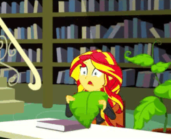 Size: 418x340 | Tagged: safe, screencap, sunset shimmer, epic fails, equestria girls, g4, my little pony equestria girls: summertime shorts, animated, book, clothes, female, jacket, library, plant, sheet