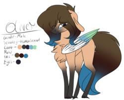 Size: 2835x2299 | Tagged: safe, artist:sweetmelon556, oc, oc only, oc:oliver, pegasus, pony, colored wings, high res, male, multicolored wings, reference sheet, solo, stallion