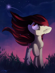 Size: 1500x2000 | Tagged: safe, artist:freeedon, oc, oc only, oc:electra sparks, earth pony, pony, female, looking away, looking up, mare, night, raised hoof, shooting star, smiling, solo, turned head, windswept mane
