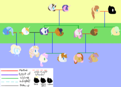 Size: 7000x5000 | Tagged: safe, artist:kannayui, button mash, capper dapperpaws, cookie crumbles, hondo flanks, prince blueblood, rarity, sweetie belle, trixie, oc, g4, my little pony: the movie, absurd resolution, capperity, family tree, female, male, offspring, parent:button mash, parent:prince blueblood, parent:rarity, parent:sweetie belle, parent:trixie, parents:bluetrix, parents:capperity, parents:rariblood, parents:sweetiemash, ship:bluetrix, ship:rariblood, ship:sweetiemash, shipping, straight