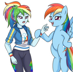 Size: 4133x4092 | Tagged: safe, artist:sumin6301, rainbow dash, human, pegasus, pony, equestria girls, g4, my little pony equestria girls: better together, absurd resolution, backwards cutie mark, clothes, duo, female, human ponidox, looking at each other, mare, multicolored hair, pants, self ponidox, shirt, smiling