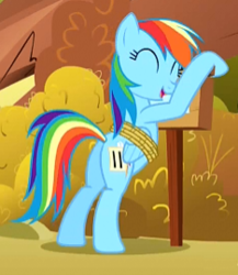 Size: 234x269 | Tagged: safe, screencap, rainbow dash, pegasus, pony, fall weather friends, g4, bipedal, bound wings, butt, cropped, female, mare, plot, rainbutt dash, sign