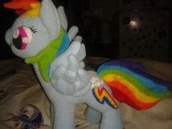 Size: 320x240 | Tagged: safe, artist:nightelfy, rainbow dash, pony, g4, irl, photo, plushie, solo