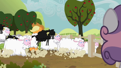 Size: 1280x720 | Tagged: safe, screencap, applejack, sweetie belle, earth pony, pony, sheep, g4, sisterhooves social, apple tree, black sheep, cloven hooves, cowboy hat, female, fence, flock, hat, male, mare, tree