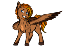 Size: 1964x1454 | Tagged: safe, artist:blackblood-queen, oc, oc only, oc:singe, pegasus, pony, alternate design, body freckles, freckles, male, simple background, smiling, solo, stallion