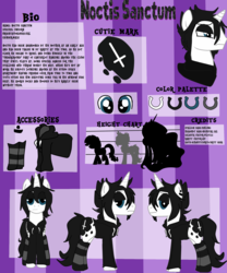 Size: 2000x2401 | Tagged: safe, artist:schwiftyburrito, oc, oc only, oc:noctissanctum, pony, clothes, high res, hoodie, reference sheet, socks, solo, striped socks
