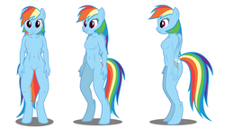 Size: 1591x913 | Tagged: safe, artist:flash equestria photography, rainbow dash, anthro, unguligrade anthro, g4, barbie doll anatomy, breasts, female, reasonably sized breasts, show accurate, show accurate anthro, simple background, solo, white background