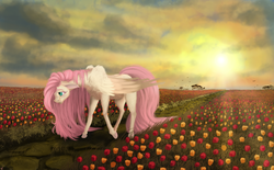 Size: 1024x636 | Tagged: safe, artist:vinicius040598, fluttershy, pegasus, pony, g4, female, floppy ears, flower, flower field, folded wings, freckles, looking at something, looking down, mare, path, smiling, solo, sun, sunset, tulip, wings
