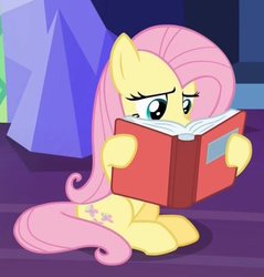 Size: 589x615 | Tagged: safe, screencap, fluttershy, pony, a health of information, g4, book, female, reading, solo