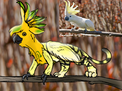 Size: 4000x3000 | Tagged: safe, artist:euspuche, oc, oc only, oc:mimic, griffon, forest, looking at you, male, open mouth, ponified animal photo, realistic, reference, simple background, smiling