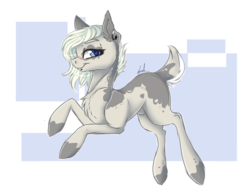 Size: 1687x1302 | Tagged: safe, artist:holoriot, oc, oc only, oc:mica, earth pony, pony, deer tail, female, mare, solo